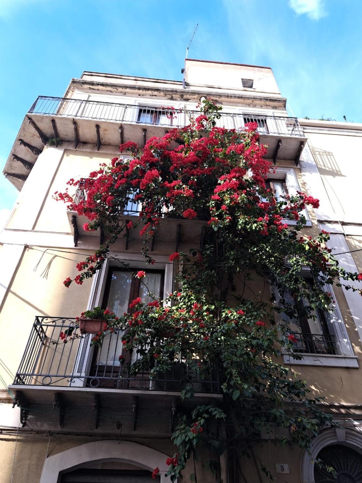 B&B L'Angolo Sulla Piazza Mirabella Imbaccari Luaran gambar